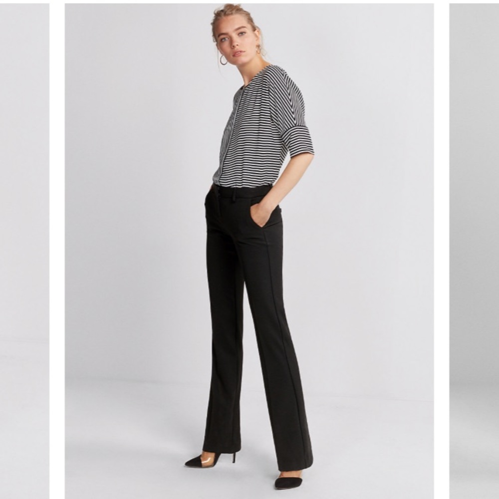 Design studio editor dress pant